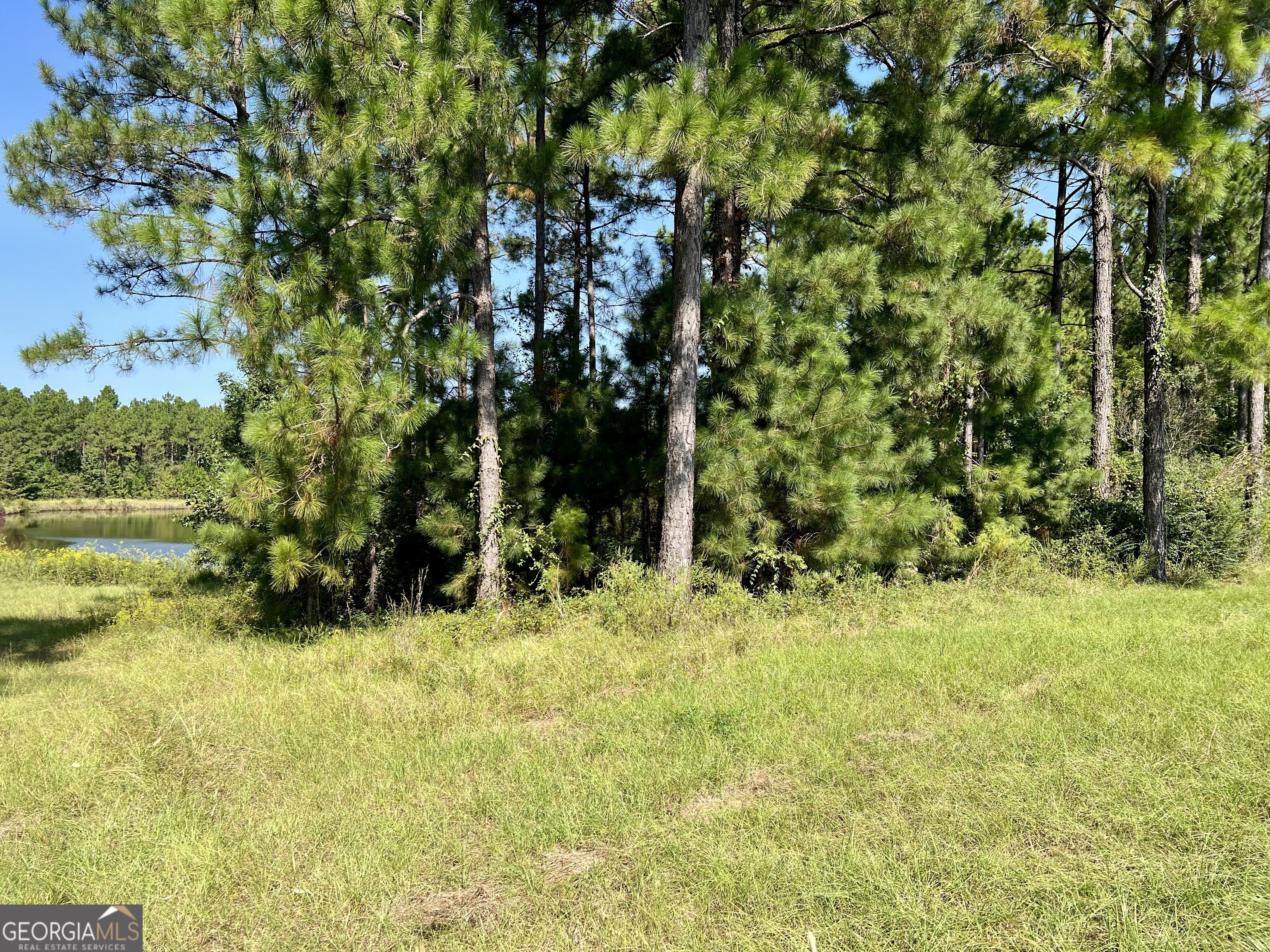 762 Nicholson Carr Road Chester GA 31012