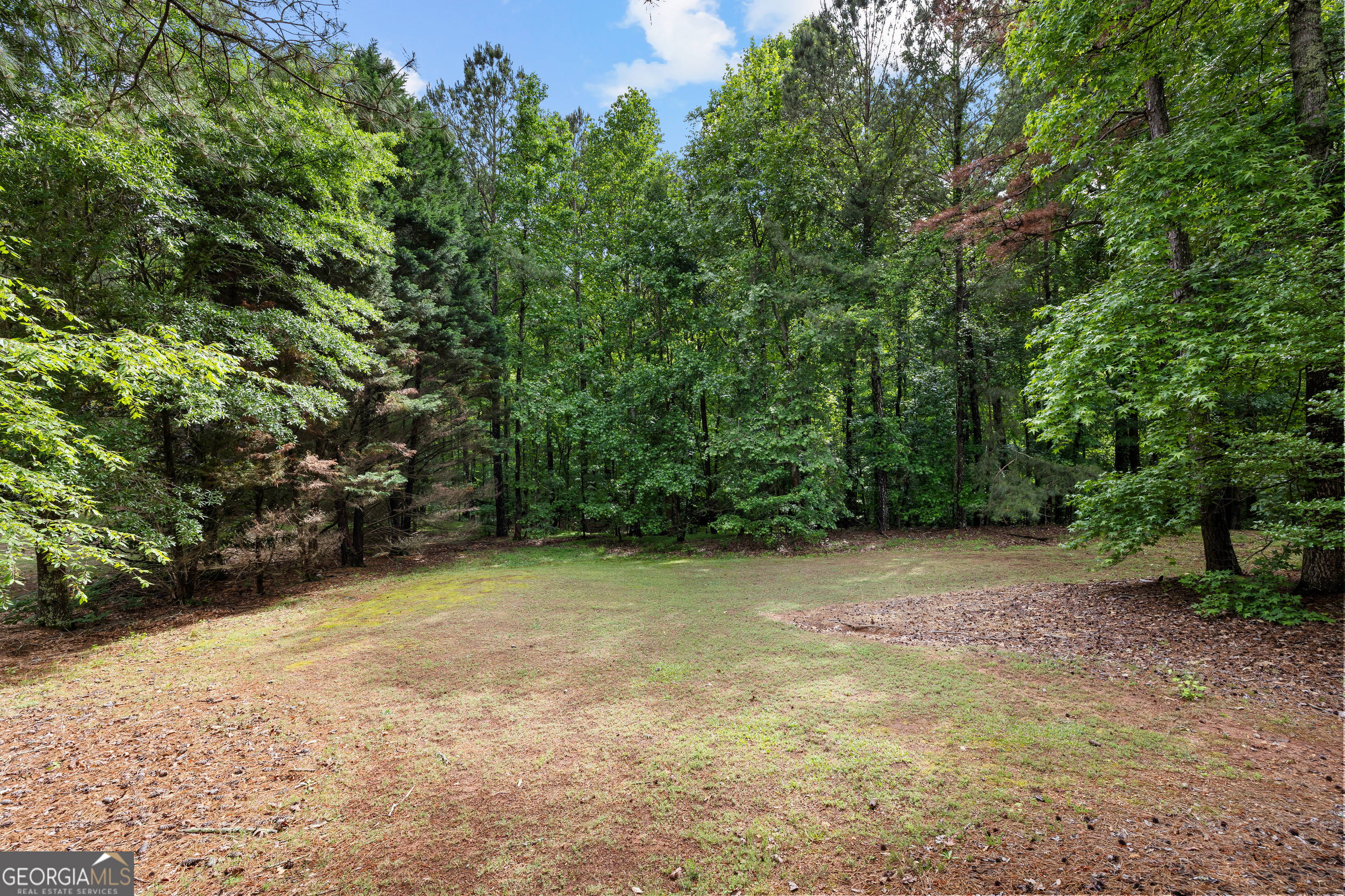 348 Loring Lane Peachtree City GA 30269