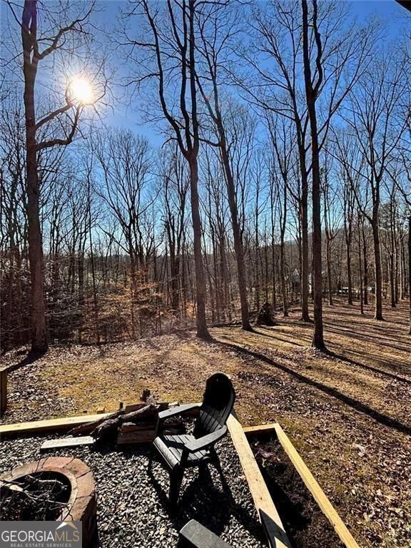 163 Beauregards Knob Ellijay GA 30536