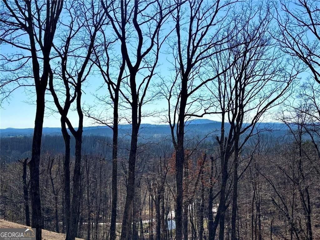 163 Beauregards Knob Ellijay GA 30536