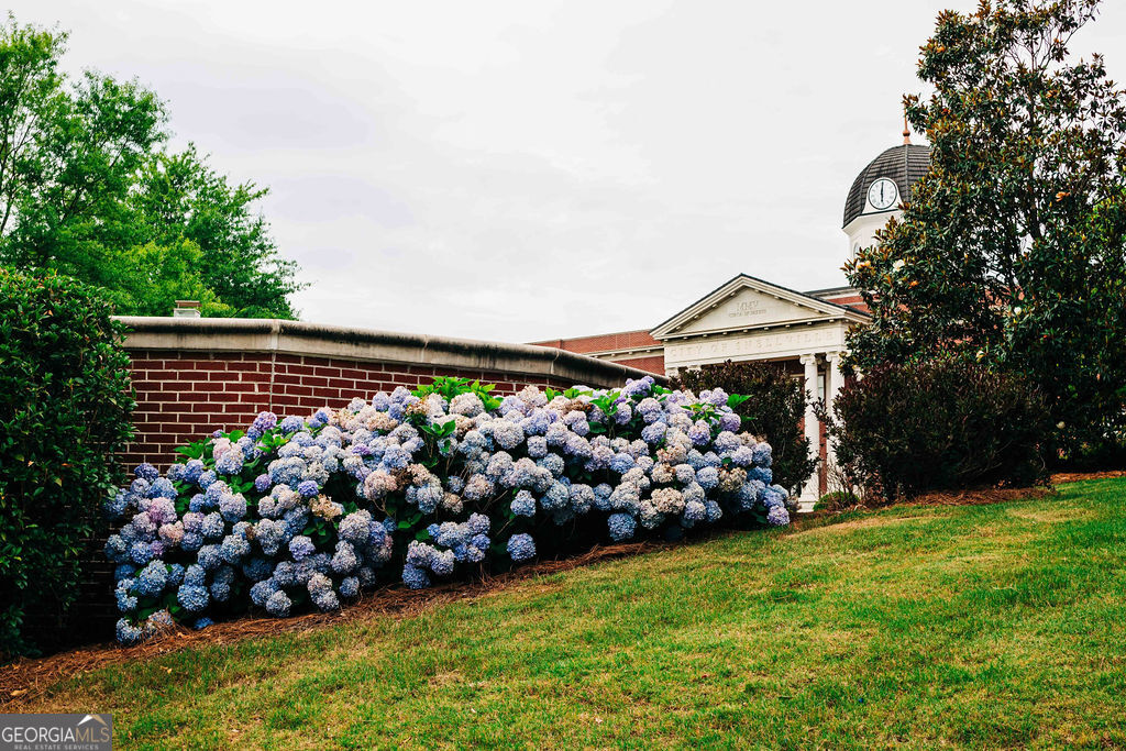 3720 Ivy Cottage Drive Snellville GA 30039