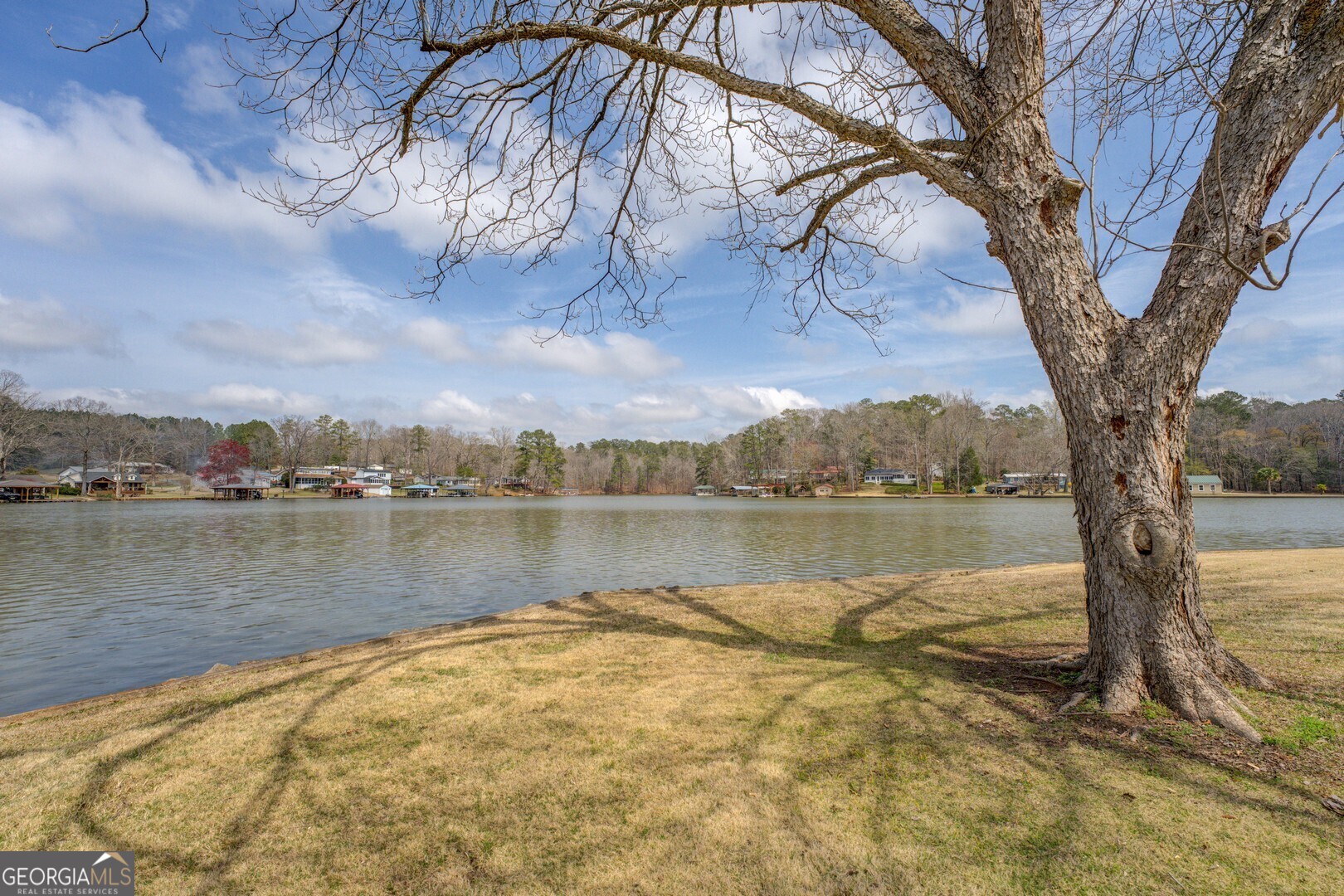 171 Blackberry Road Jackson GA 30233