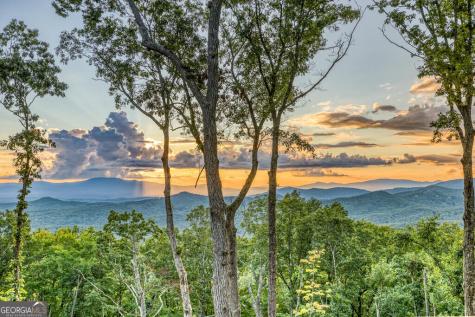 91 Kittatinny Drive Mineral Bluff GA 30559