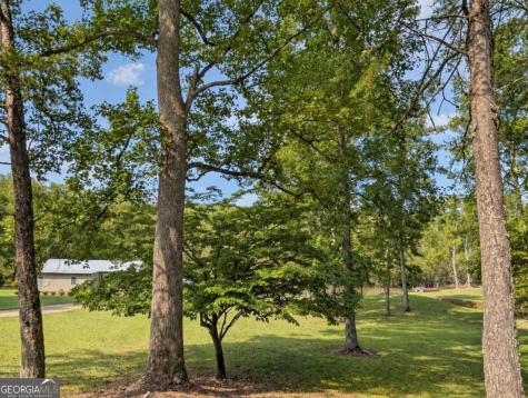 788 Fish Trap Trail Mineral Bluff GA 30559