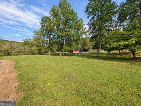 788 Fish Trap Trail Mineral Bluff GA 30559