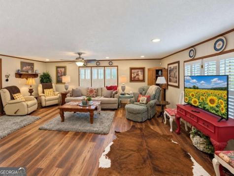 788 Fish Trap Trail Mineral Bluff GA 30559
