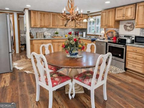788 Fish Trap Trail Mineral Bluff GA 30559