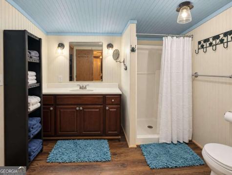 788 Fish Trap Trail Mineral Bluff GA 30559