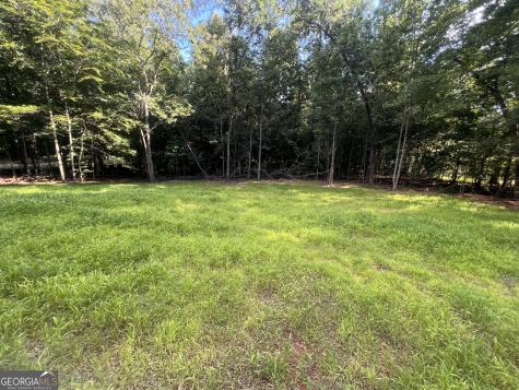 238 Signing Tree Trail Clarkesville GA 30523