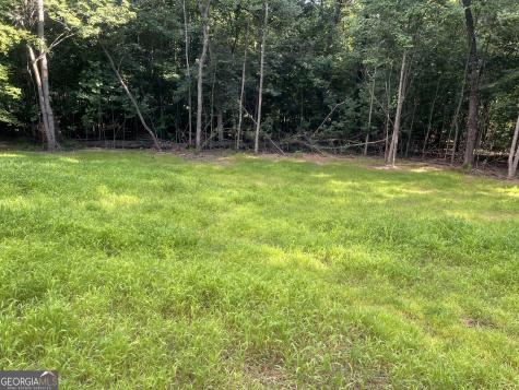 238 Signing Tree Trail Clarkesville GA 30523