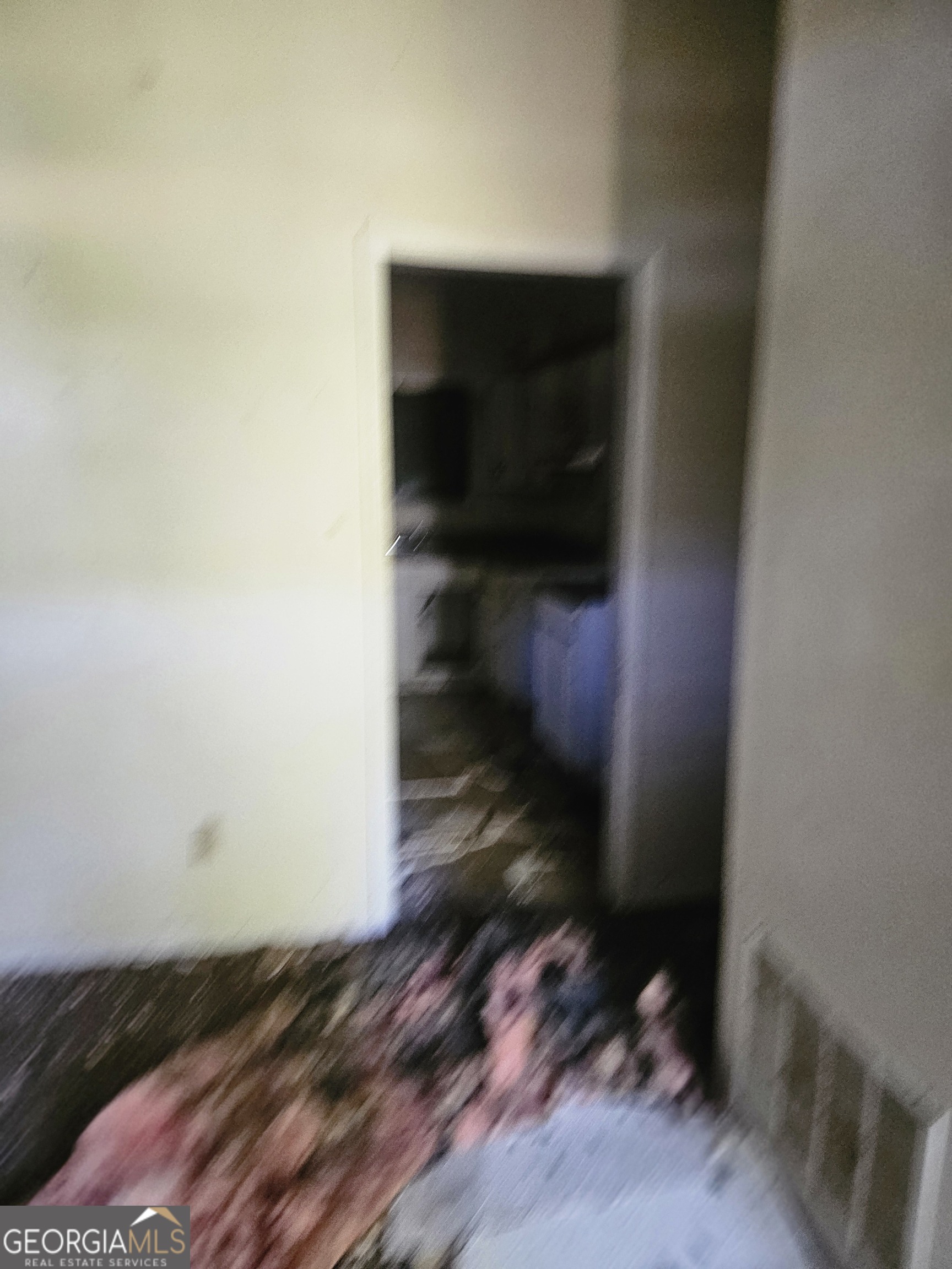 167 Iris Court Riverdale GA 30274
