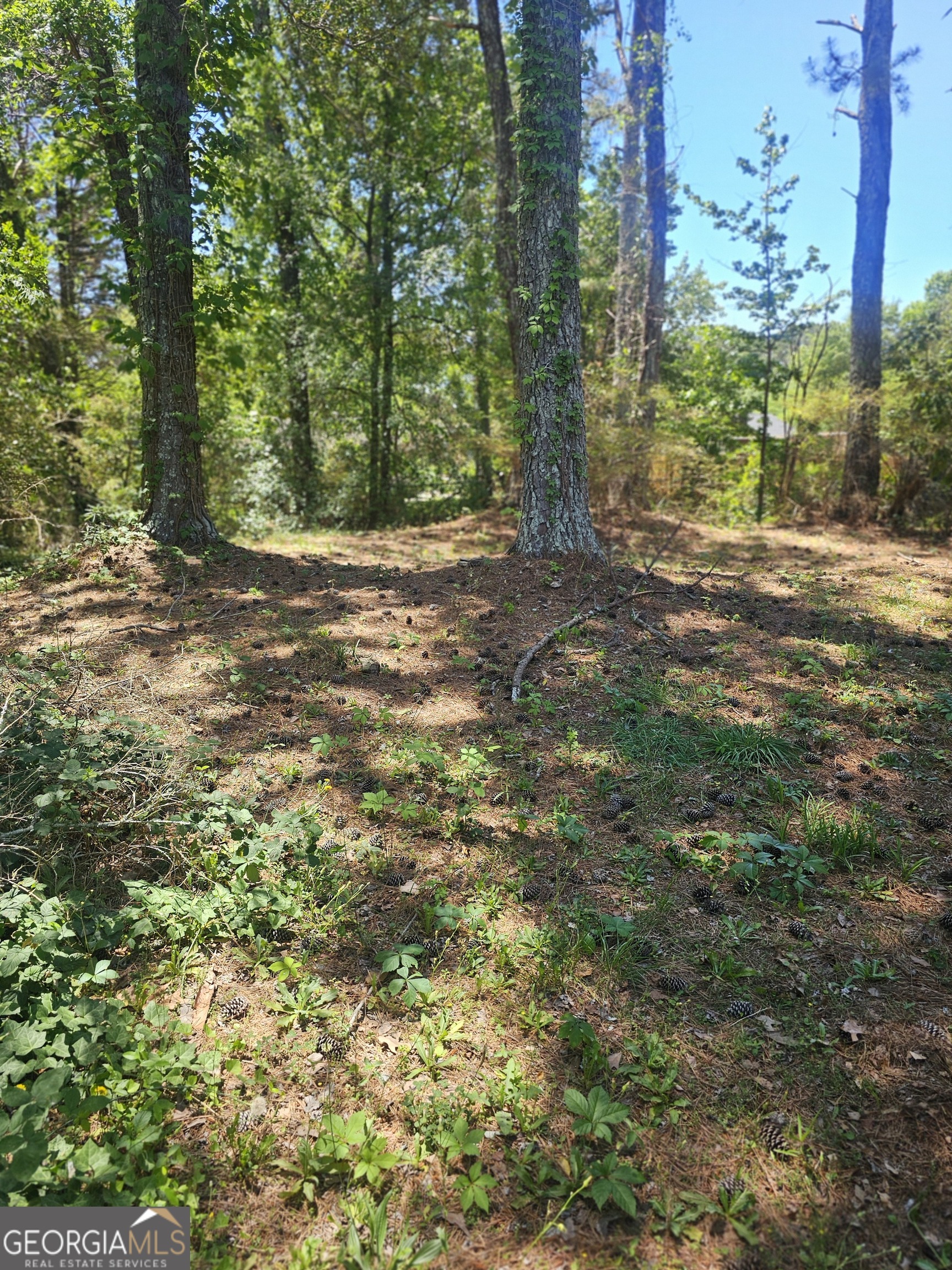 167 Iris Court Riverdale GA 30274