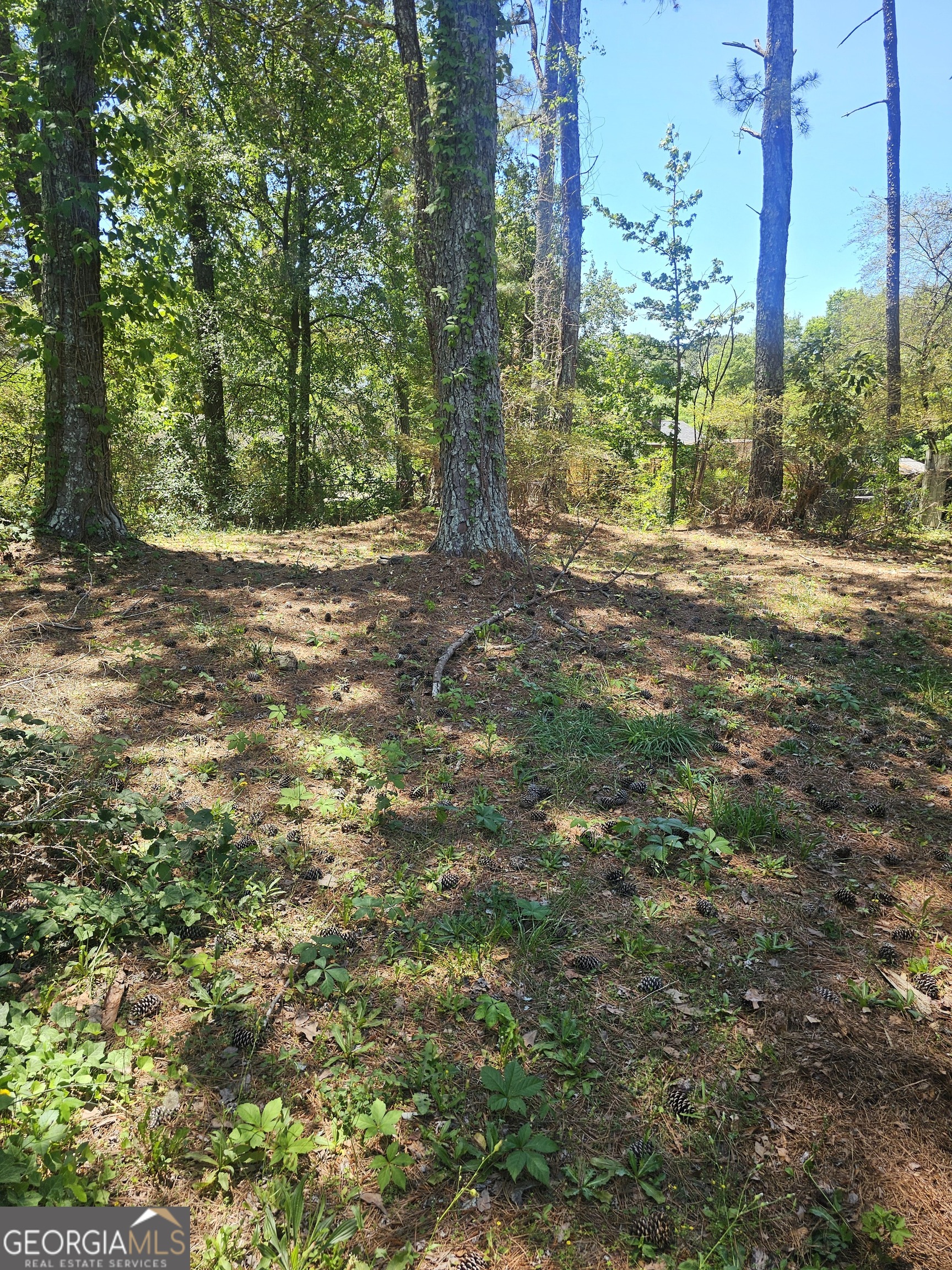 167 Iris Court Riverdale GA 30274