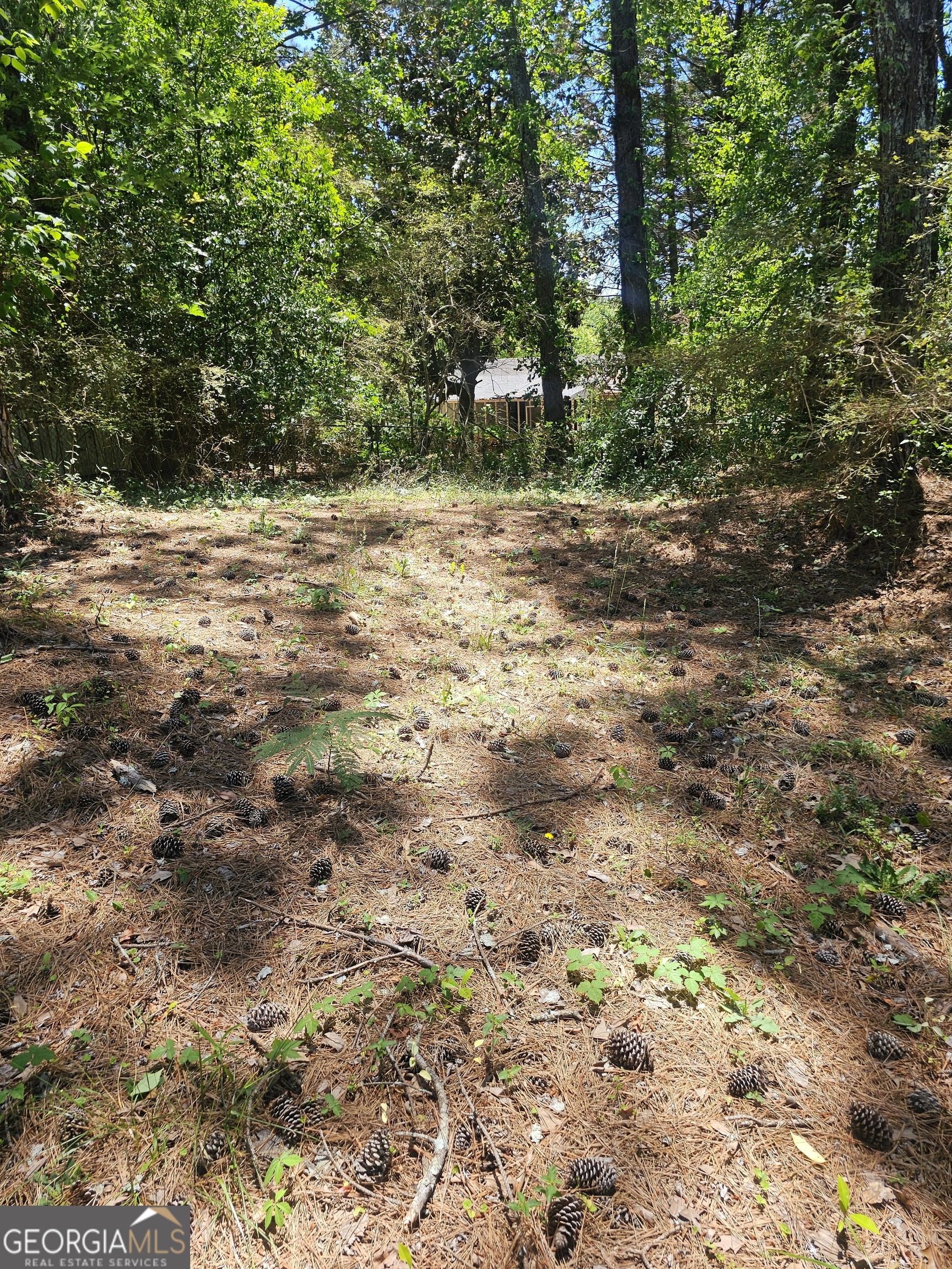 167 Iris Court Riverdale GA 30274