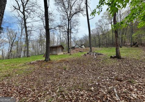 71 Andy Court Morganton GA 30560