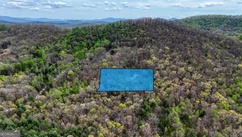 71 Andy Court Morganton GA 30560