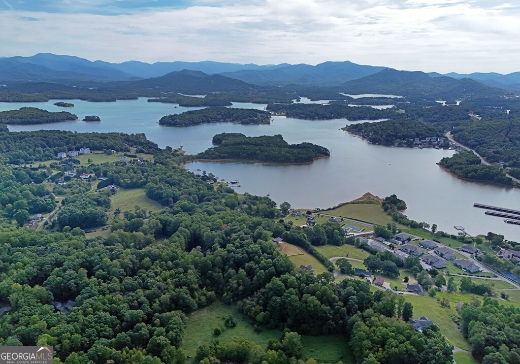 1724 Watercrest Way Hiawassee GA 30546