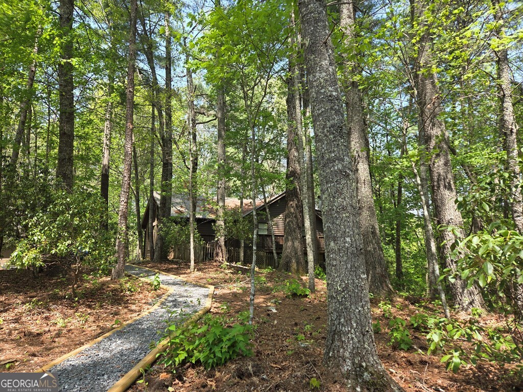 92 Misty Mountain Trail Morganton GA 30560