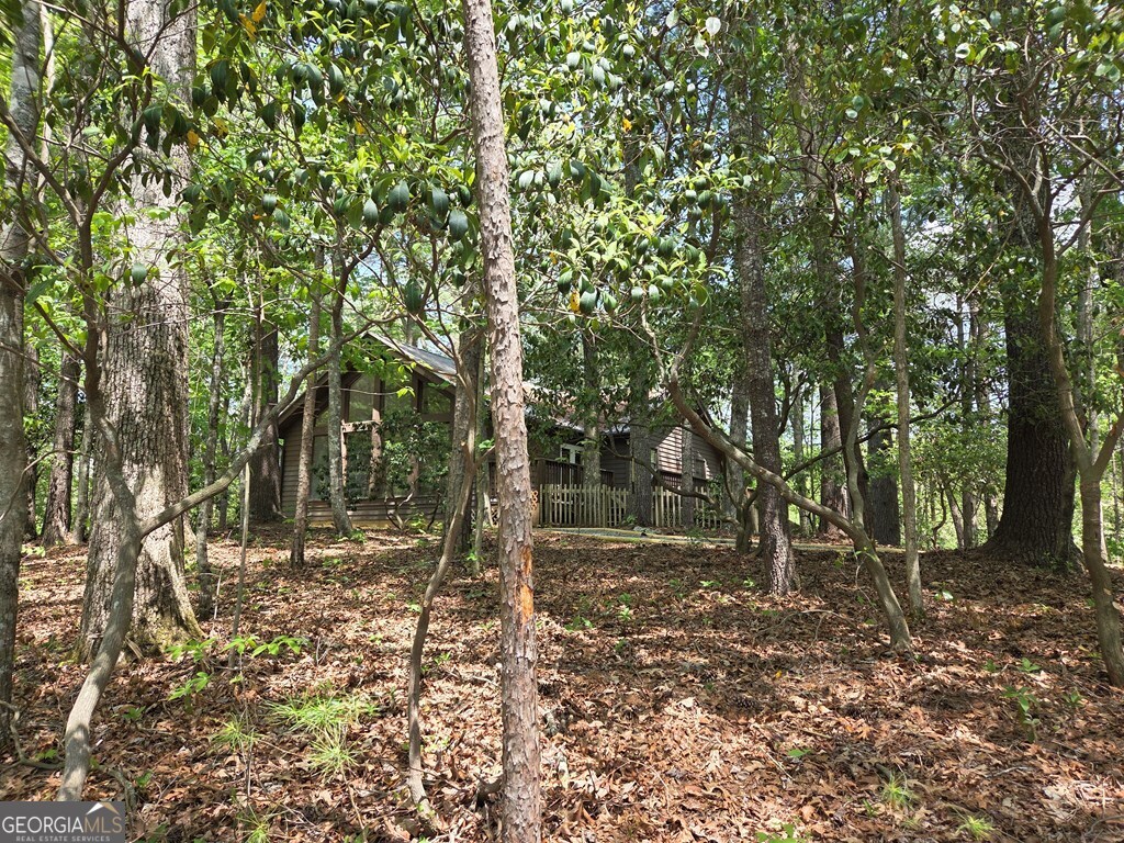 92 Misty Mountain Trail Morganton GA 30560