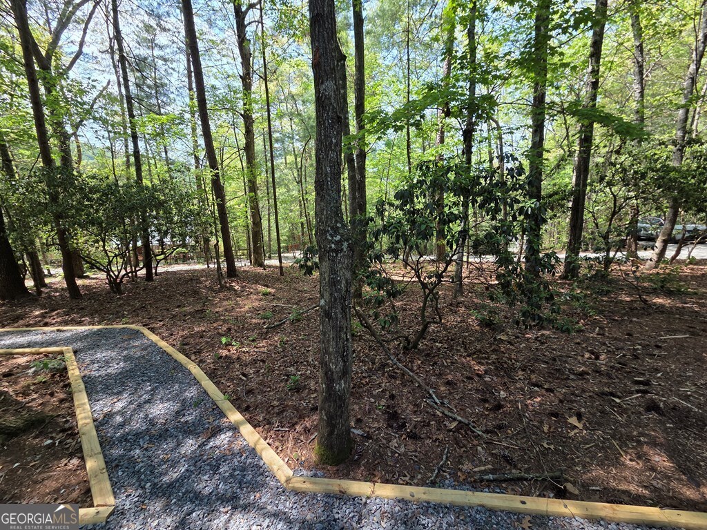 92 Misty Mountain Trail Morganton GA 30560