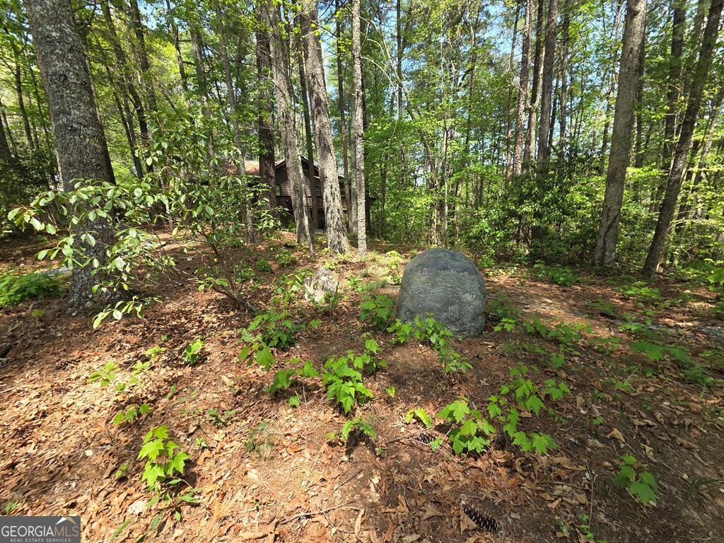 92 Misty Mountain Trail Morganton GA 30560
