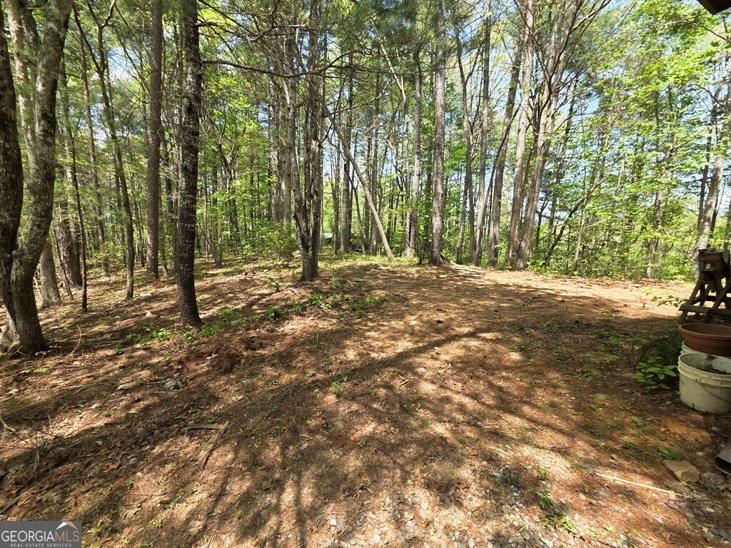 92 Misty Mountain Trail Morganton GA 30560