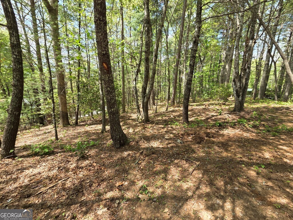 92 Misty Mountain Trail Morganton GA 30560