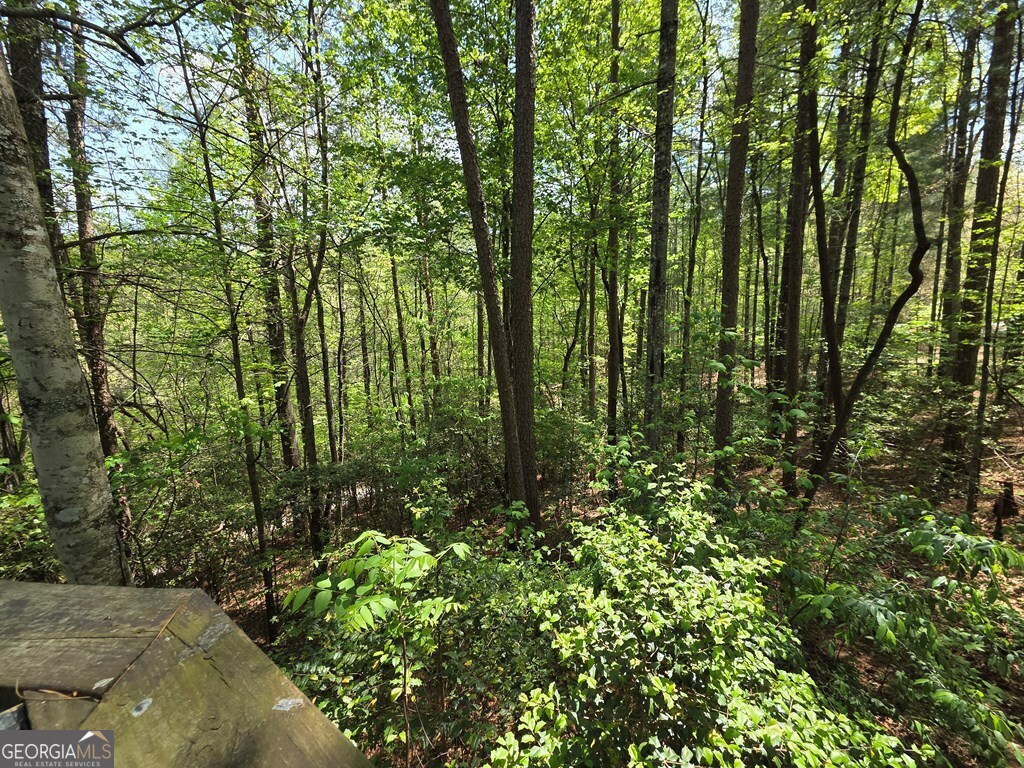 92 Misty Mountain Trail Morganton GA 30560