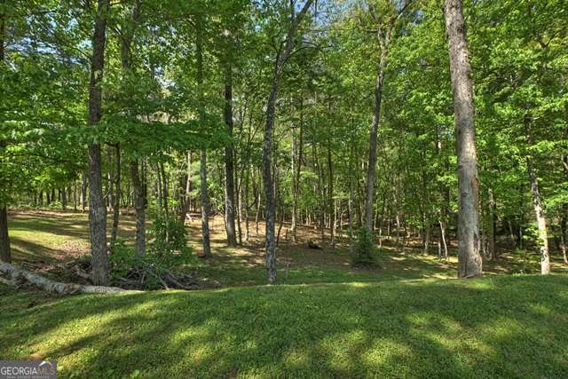 410 Knight Drive Ellijay GA 30540