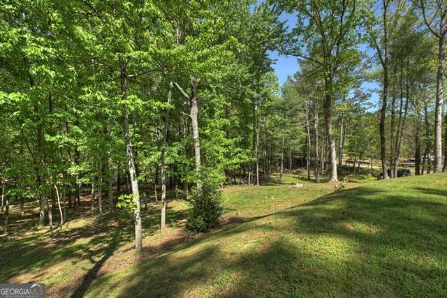 410 Knight Drive Ellijay GA 30540