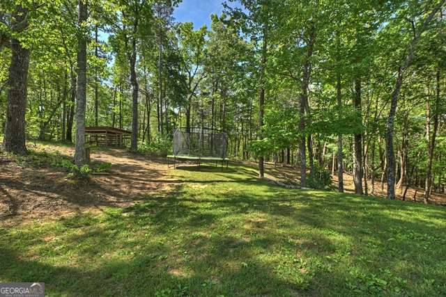 410 Knight Drive Ellijay GA 30540