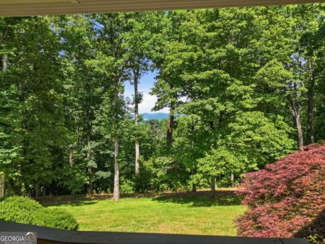 1110 Chatsworth Highway Ellijay GA 30540