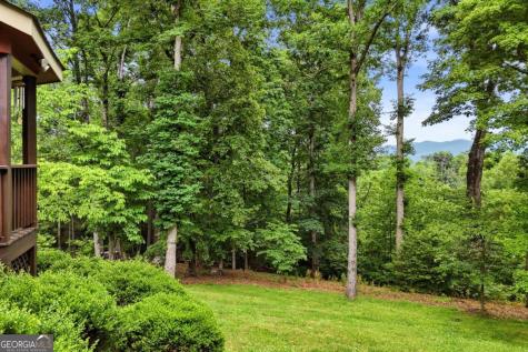 1110 Chatsworth Highway Ellijay GA 30540