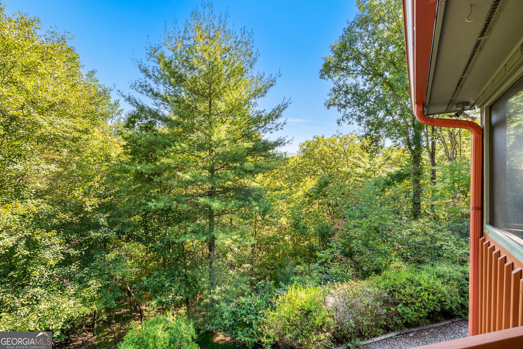 138 Oakwood Trail Mineral Bluff GA 30559