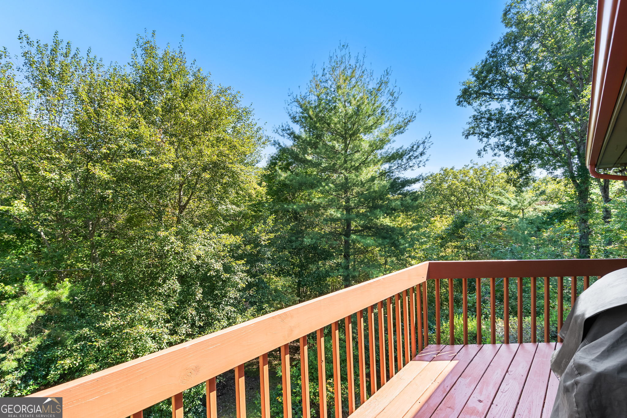 138 Oakwood Trail Mineral Bluff GA 30559