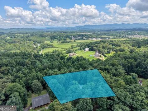 96 Taylors Court Blairsville GA 30512