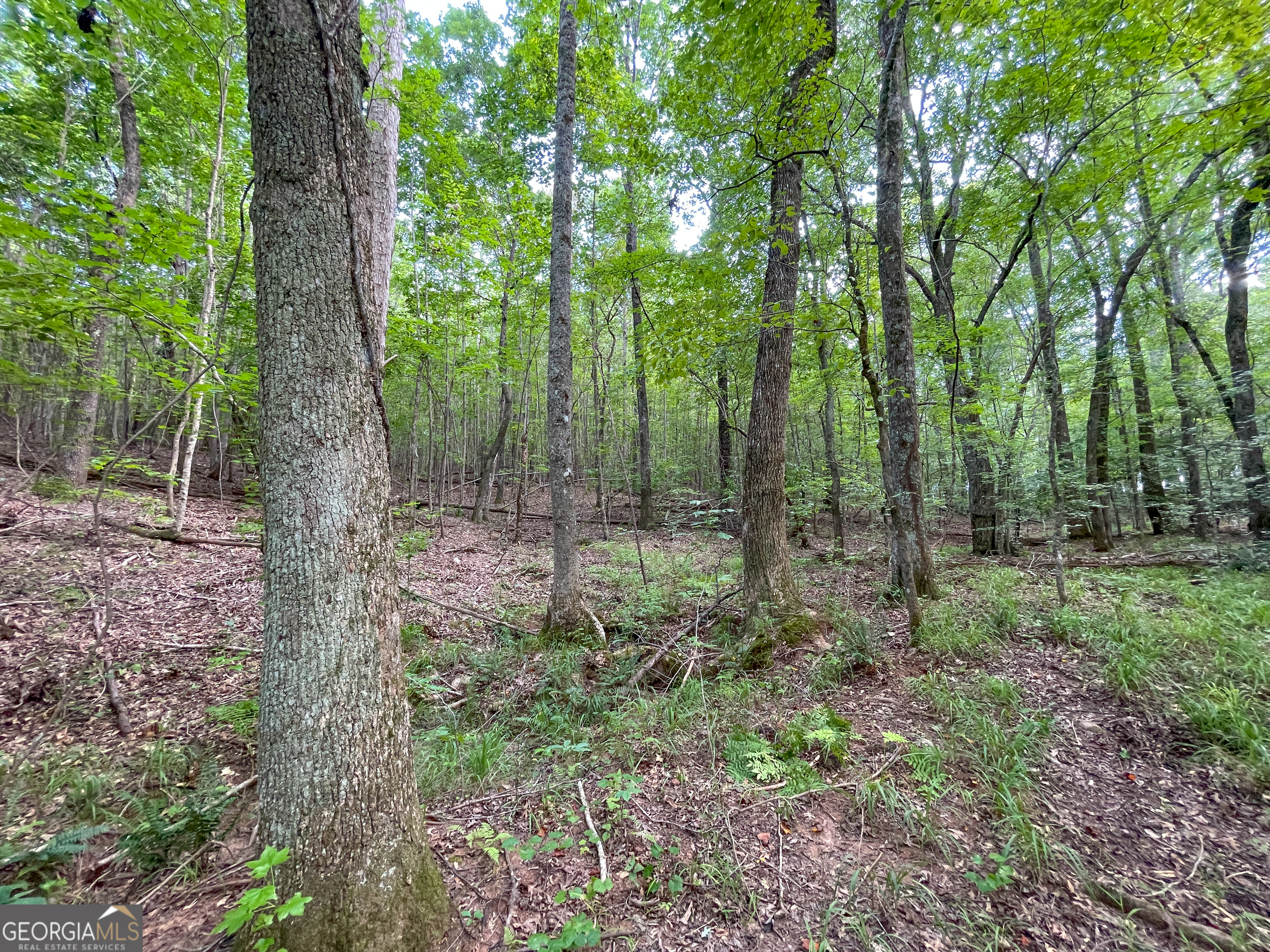 0 Old Yorkville Road Dallas GA 30157