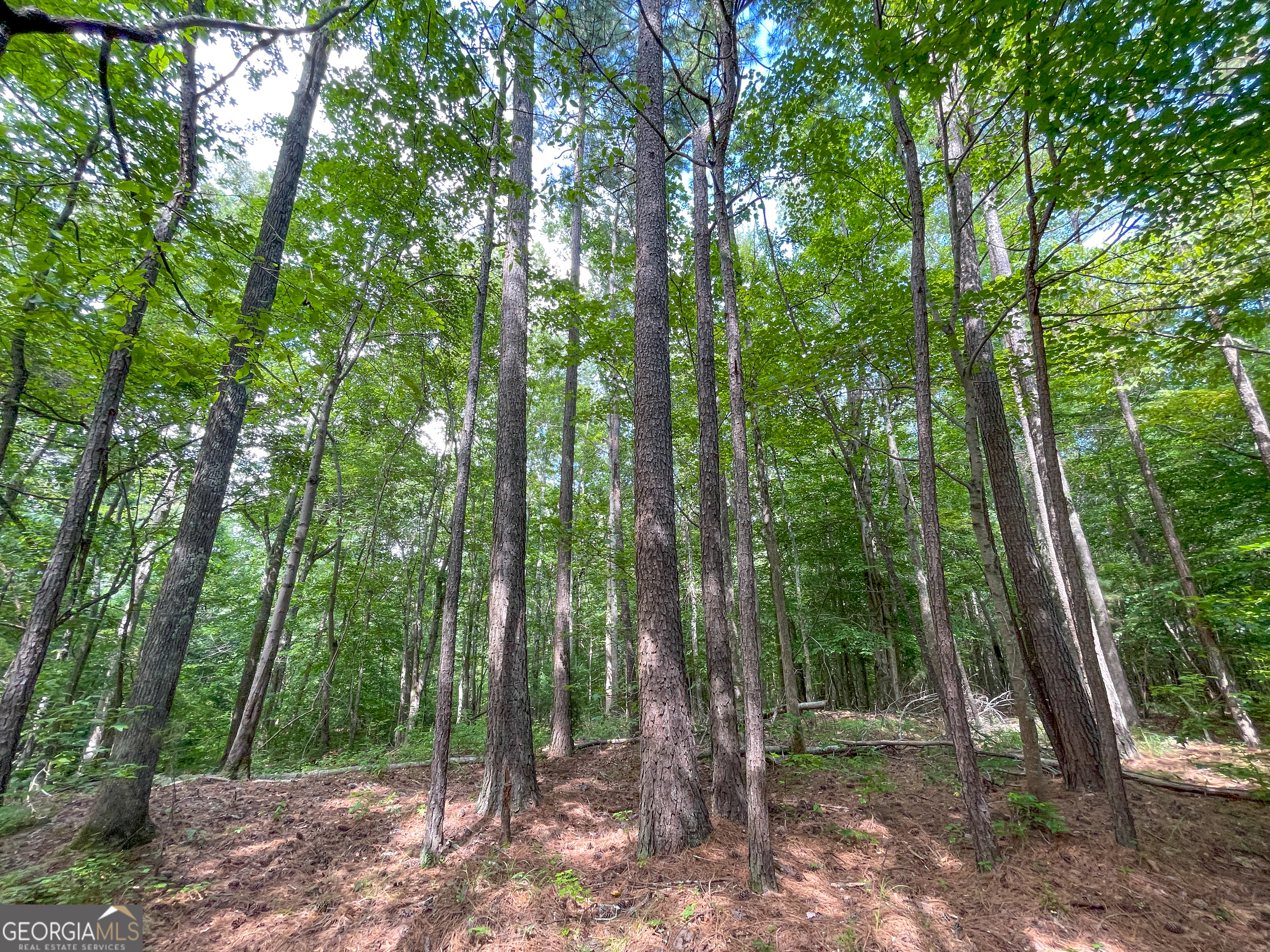 0 Old Yorkville Road Dallas GA 30157