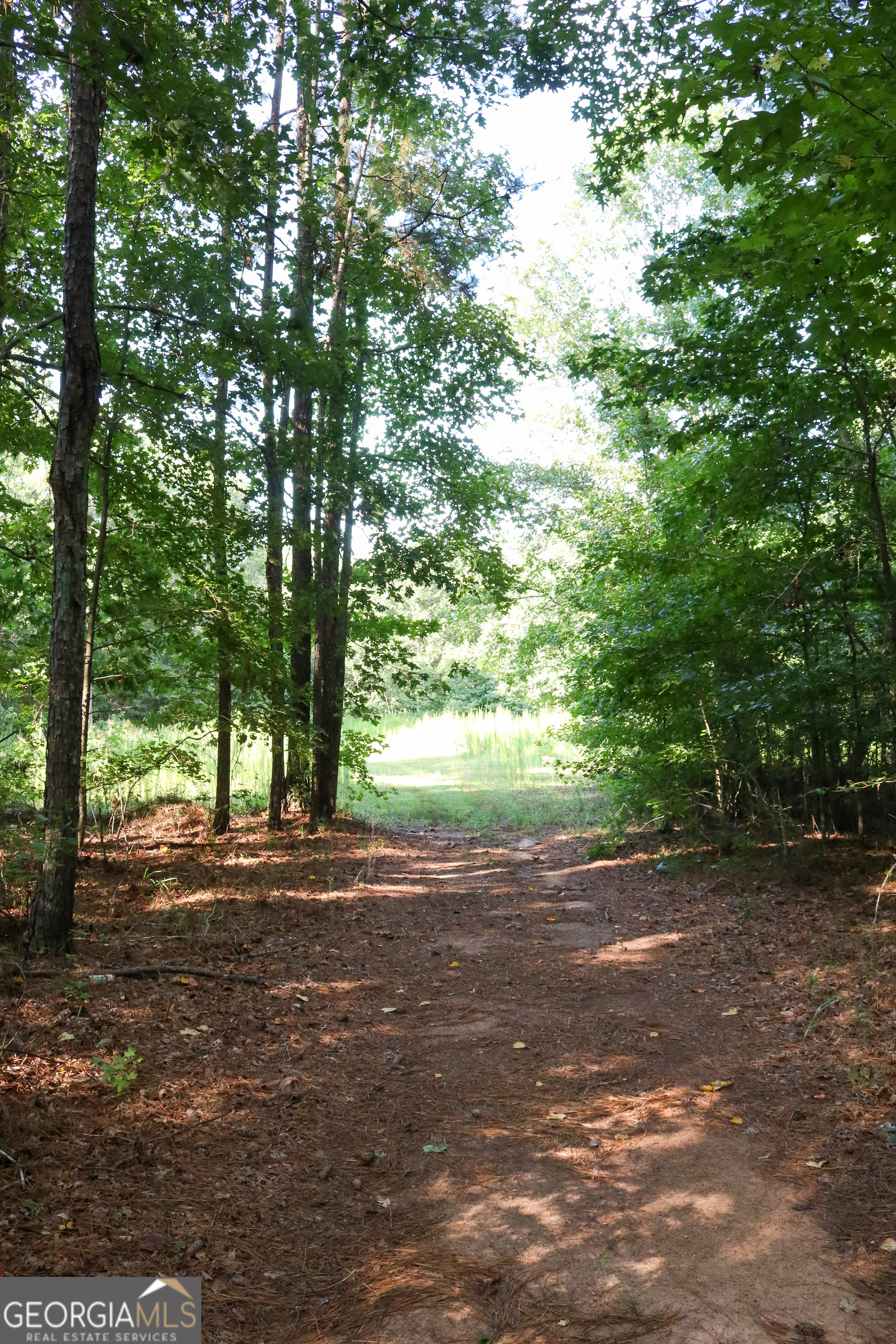 1224 Walker Road Madison GA 30650