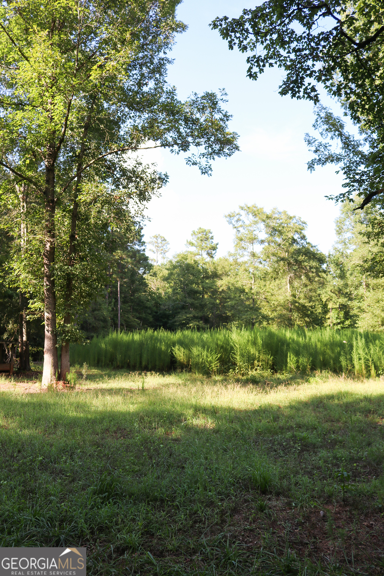 1224 Walker Road Madison GA 30650