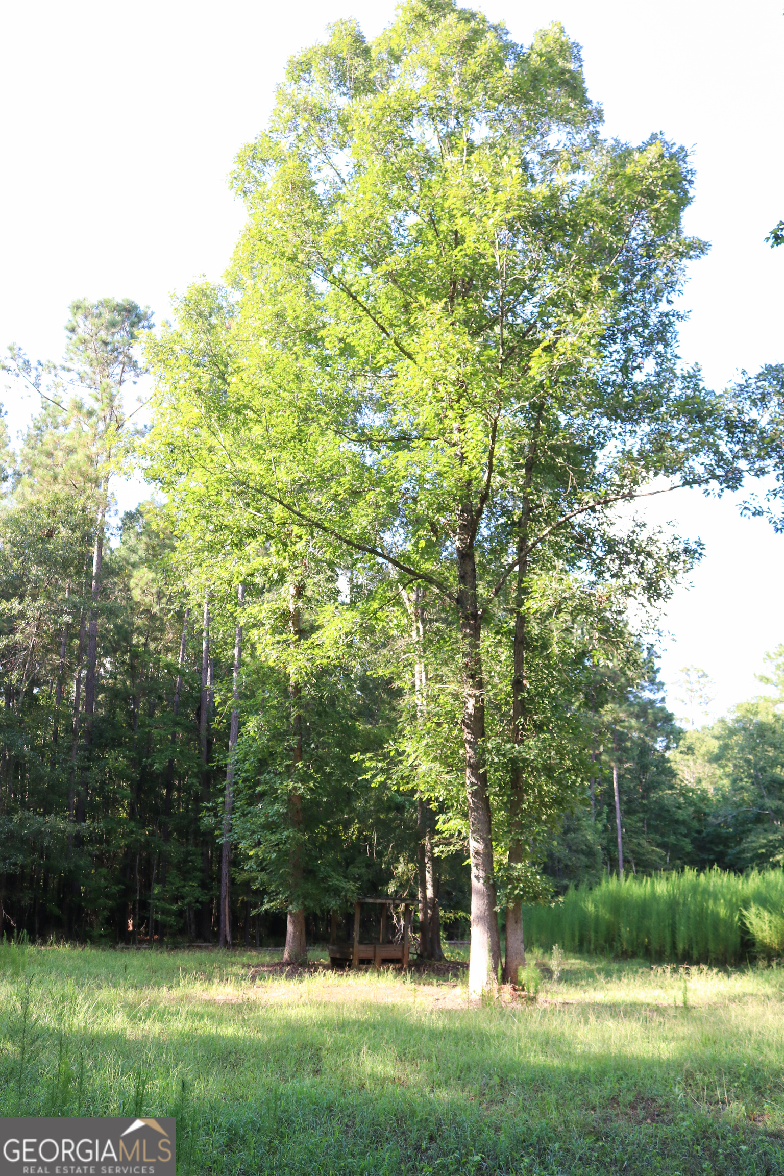 1224 Walker Road Madison GA 30650