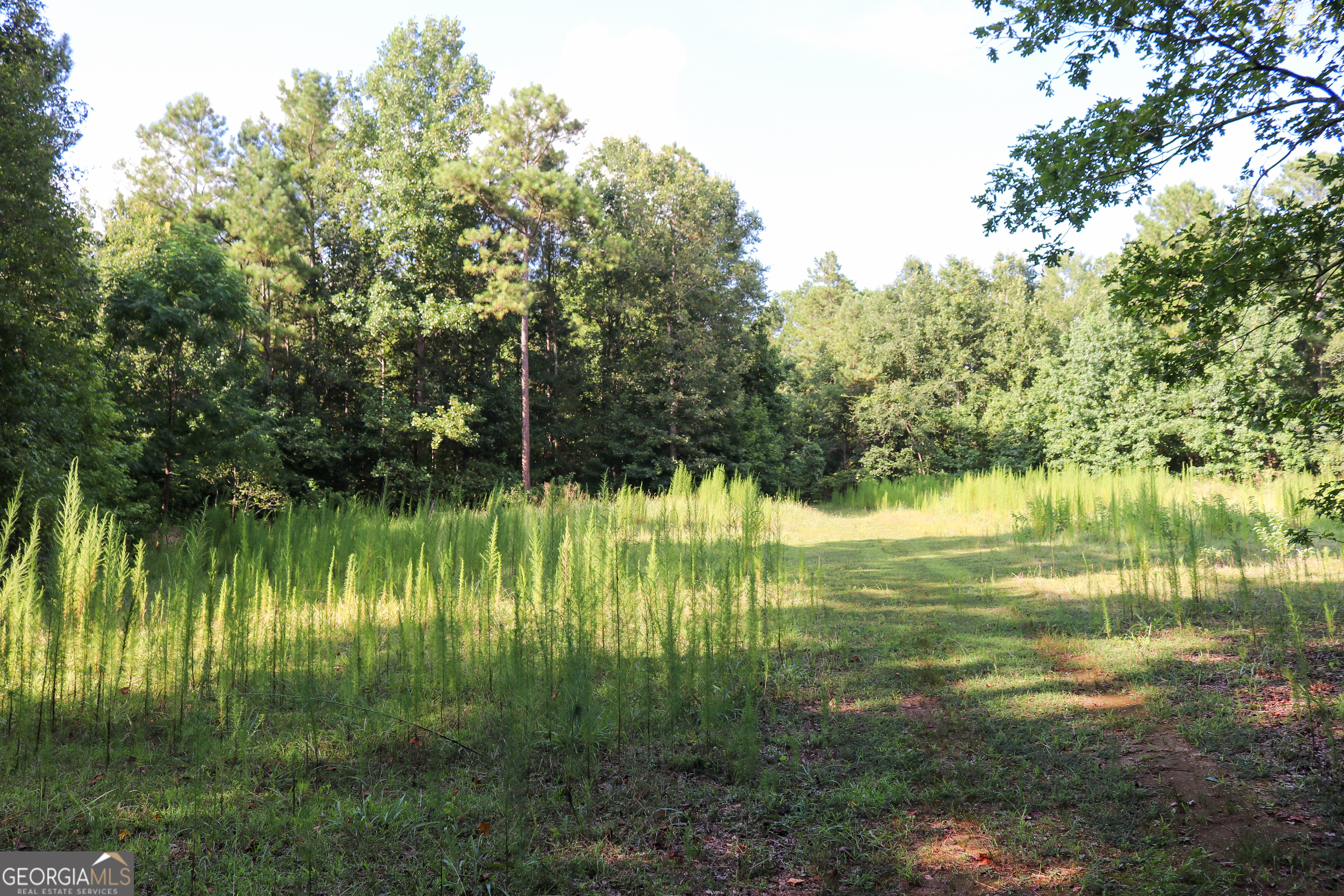 1224 Walker Road Madison GA 30650