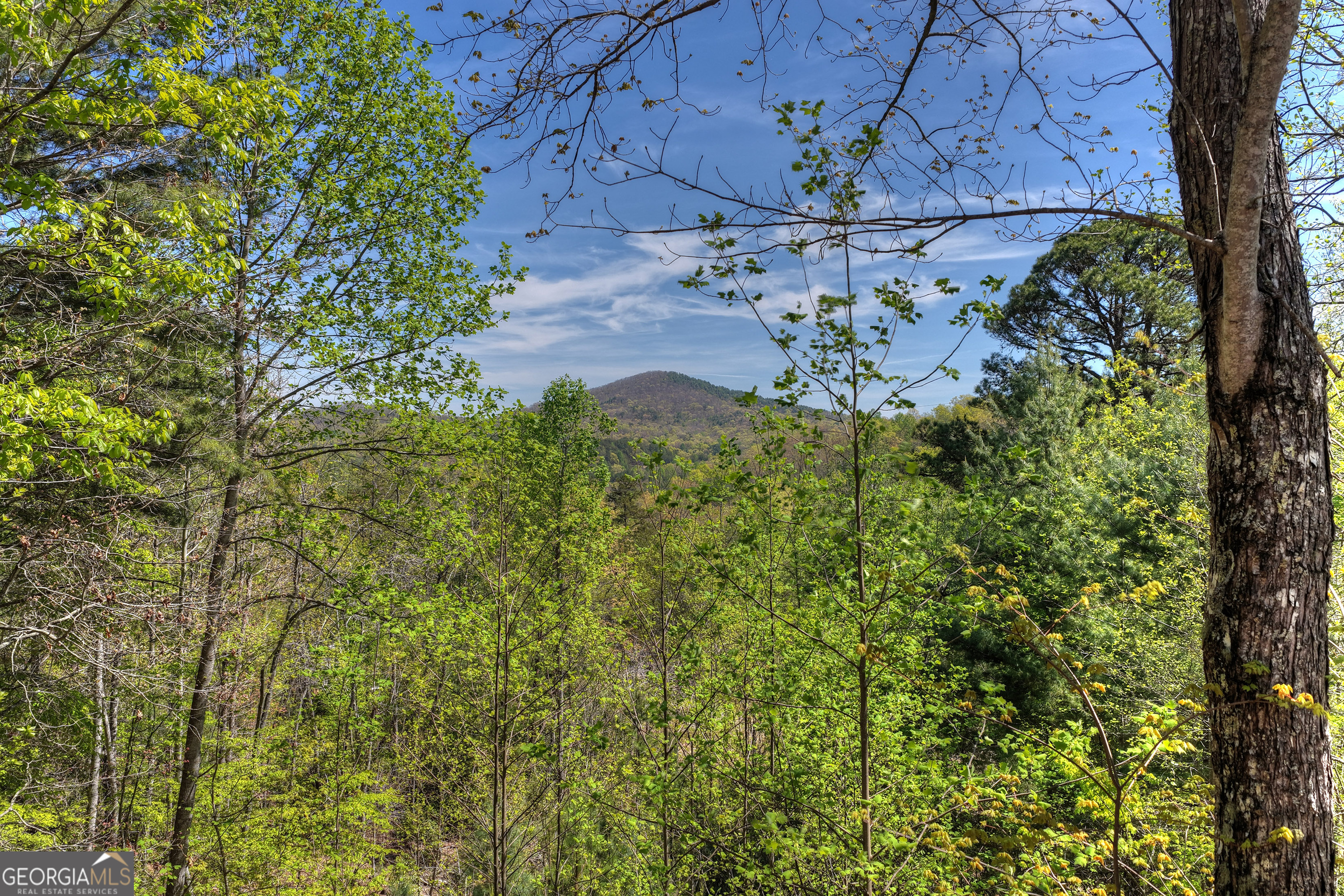 305 Kim Bolton Drive Morganton GA 30560