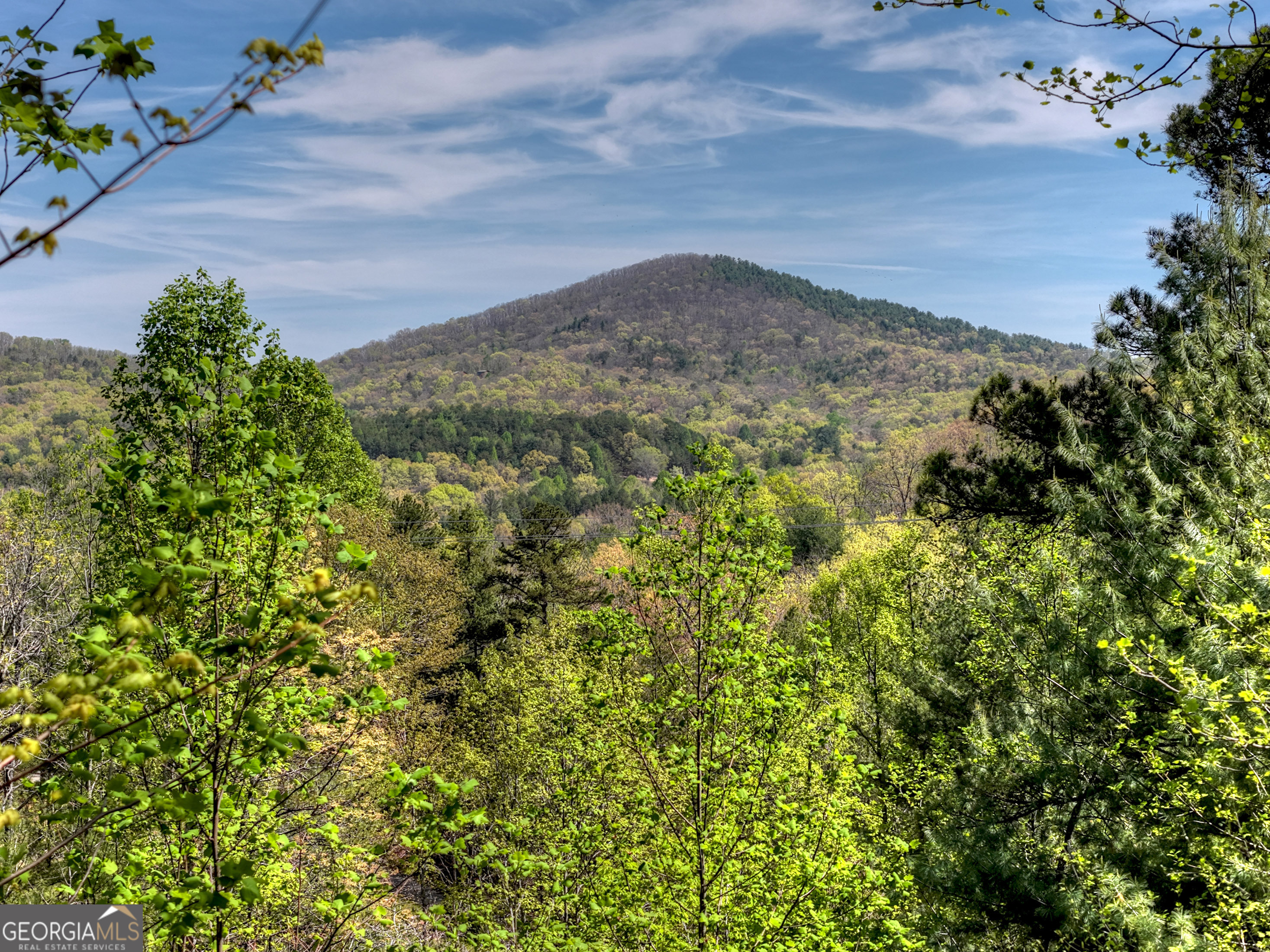 305 Kim Bolton Drive Morganton GA 30560