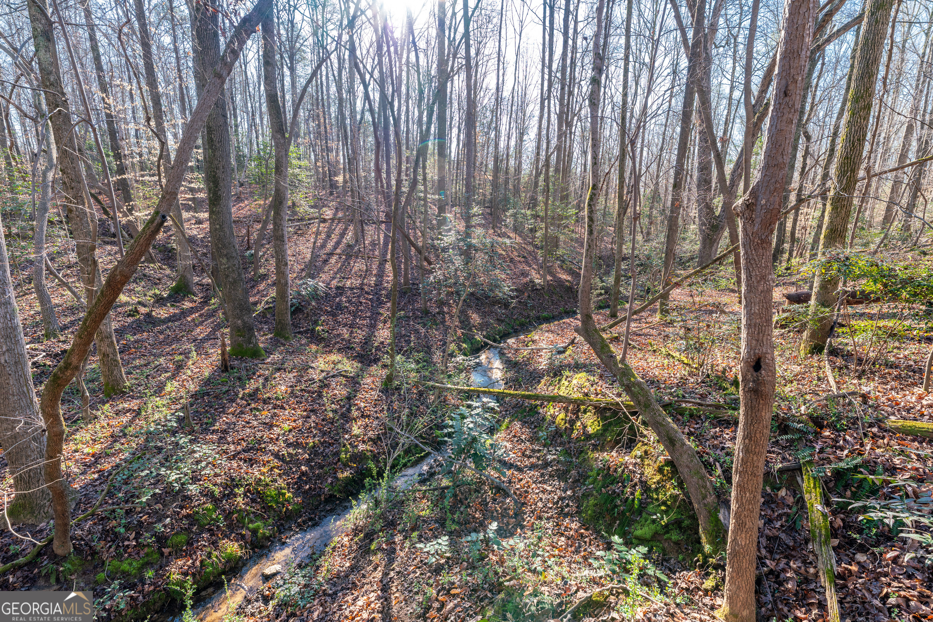 2456 Eddleman Drive NW Dewy Rose GA 30634