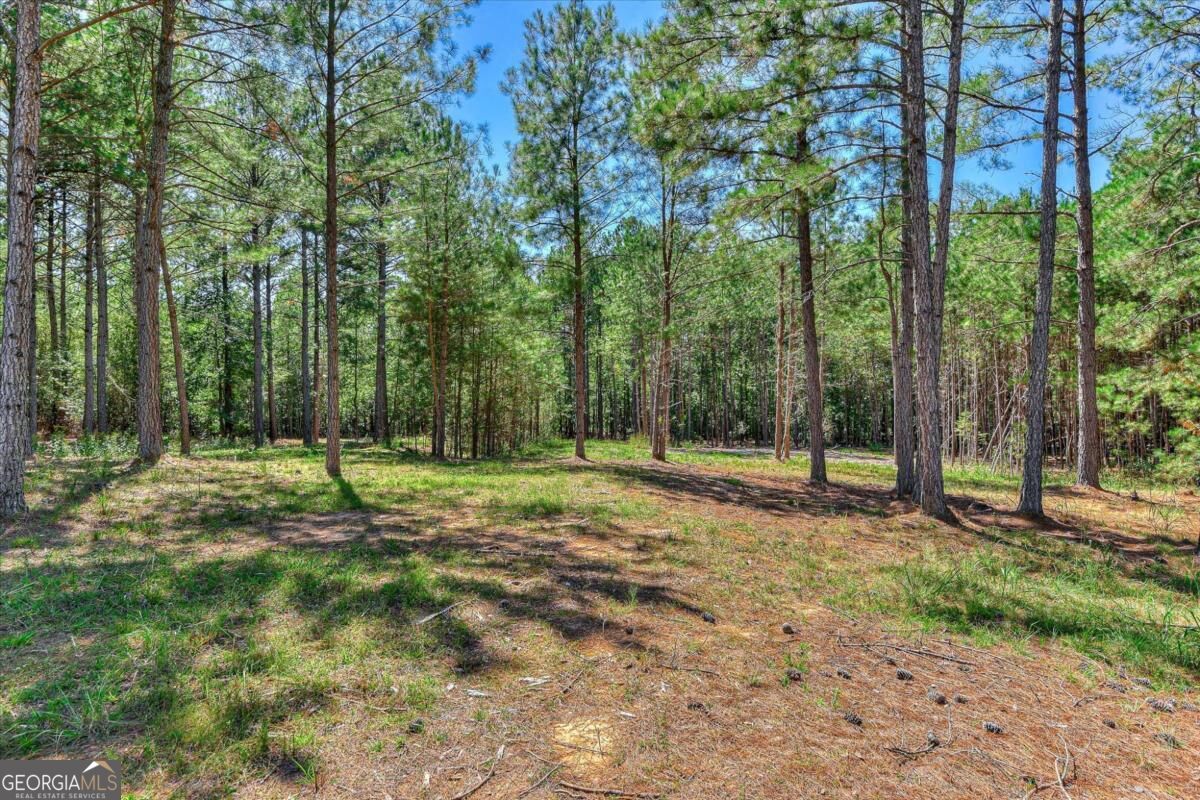 1192 Sunset Cove Tignall GA 30668