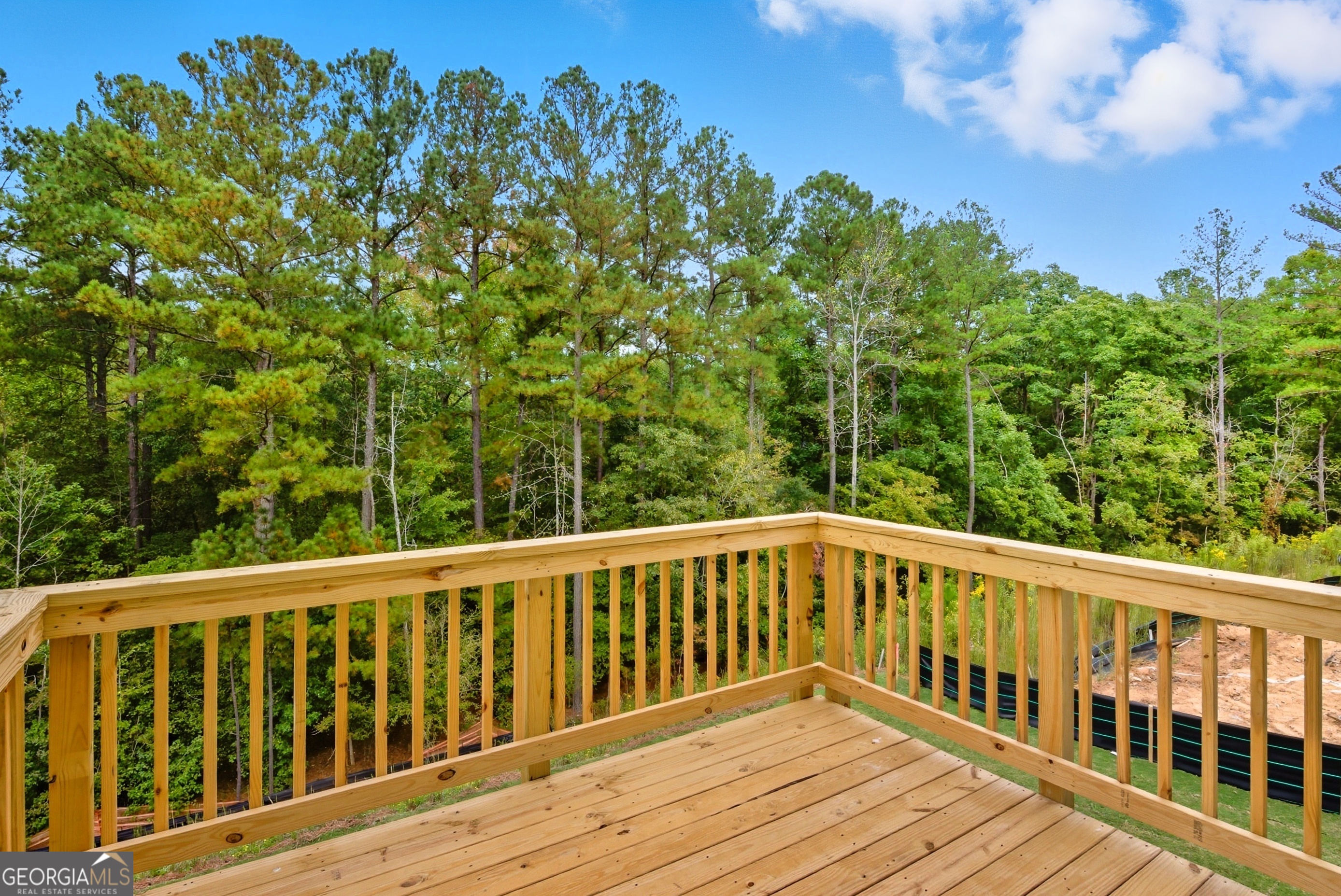 680 River Run Drive Dallas GA 30132