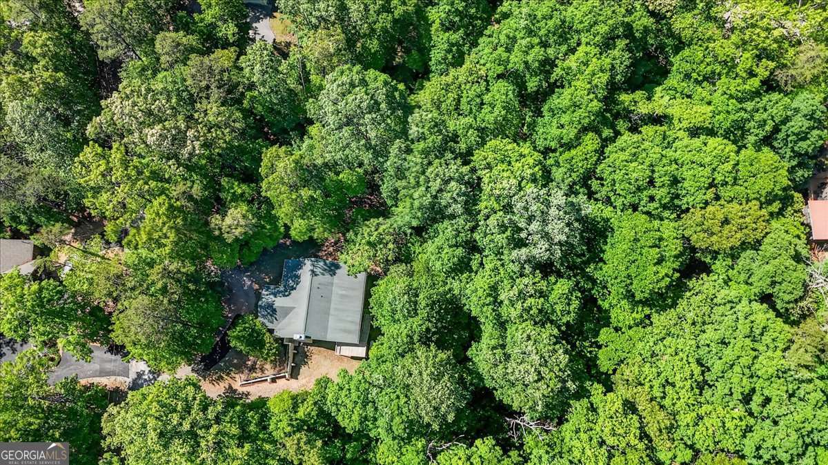 61 Gemini Court Ellijay GA 30540