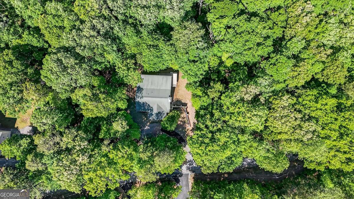 61 Gemini Court Ellijay GA 30540
