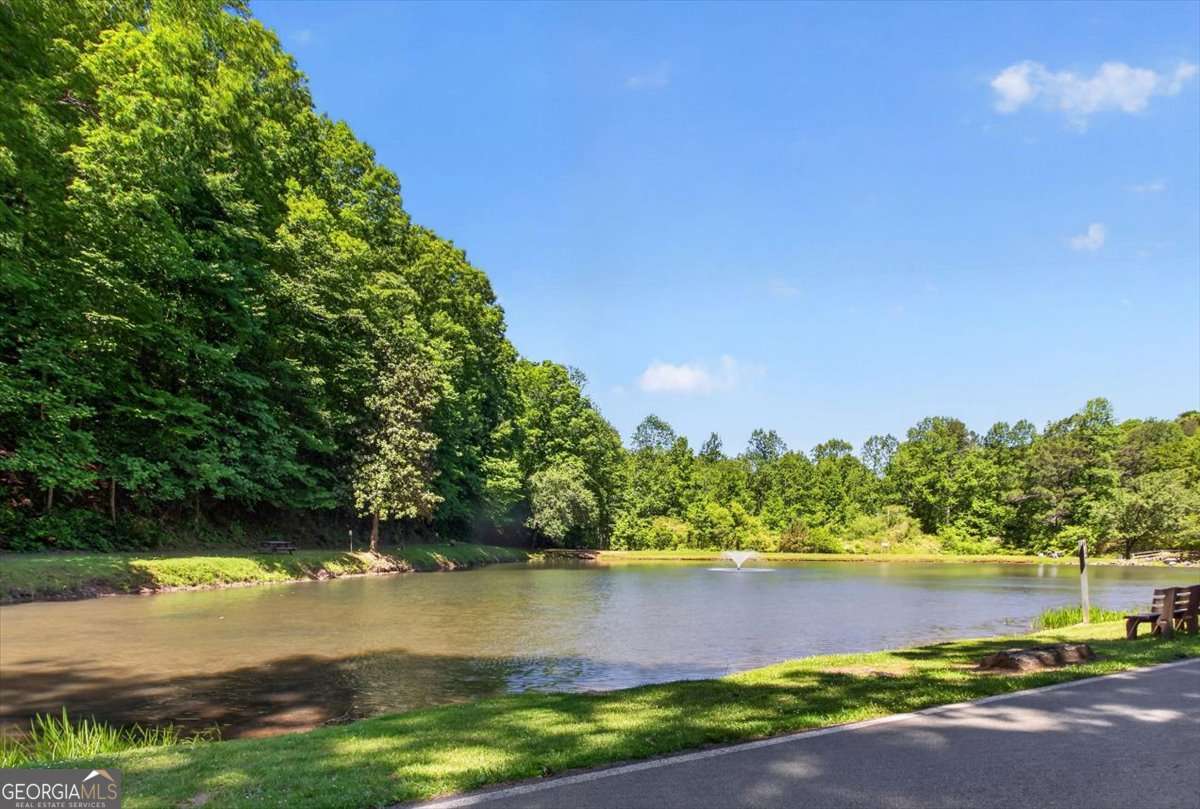 61 Gemini Court Ellijay GA 30540